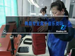 舞蹈专业属于音乐类吗