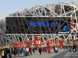 挽歌舞蹈表达什么