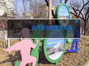 武汉单色舞蹈怎么样