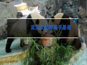 武汉女街舞高手是谁