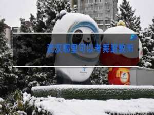 武汉哪里可以考舞蹈教师资格证