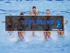 王皓妻子跳舞后离婚了吗