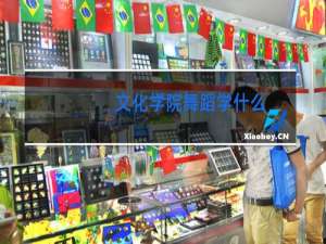 文化学院舞蹈学什么