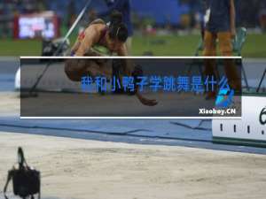 我和小鸭子学跳舞是什么歌