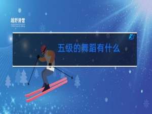 五级的舞蹈有什么