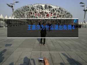 王嘉尔为什么退出街舞4
