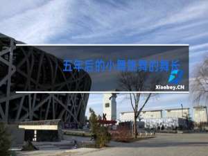 五年后的小舞跳舞的舞长什么样子