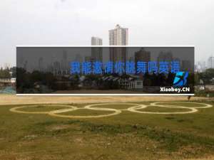 我能邀请你跳舞吗英语