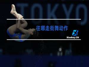 往哪走街舞动作