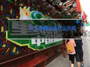 文人跳舞比喻什么生肖