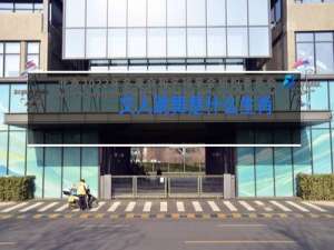 文人跳舞是什么生肖