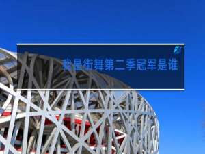 我是街舞第二季冠军是谁