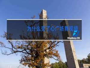 为什么变了心广场舞视频