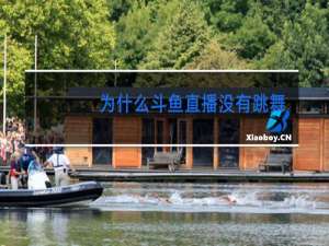 为什么斗鱼直播没有跳舞分类