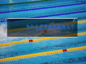 为什么虎牙跳舞都用几个屏