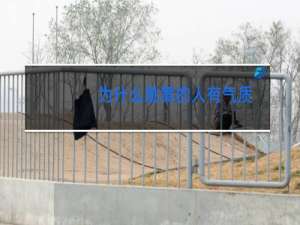 为什么跳舞的人有气质