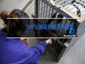 为什么舞蹈风暴没有更新