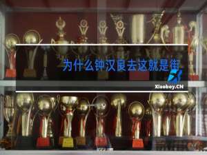 为什么钟汉良去这就是街舞