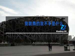 我跳舞的我不手是什么