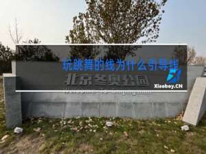 玩跳舞的线为什么引导线要钱