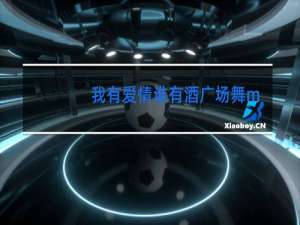 我有爱情谁有酒广场舞mp3