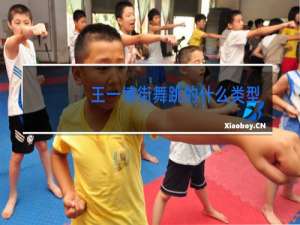 王一博街舞跳的什么类型