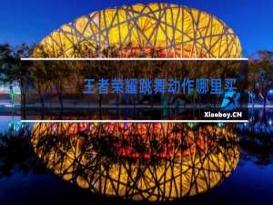 王者荣耀跳舞动作哪里买