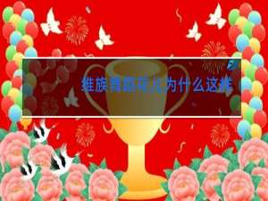 维族舞蹈花儿为什么这样红串词