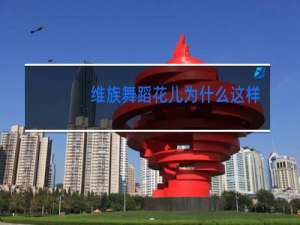 维族舞蹈花儿为什么这样红教案