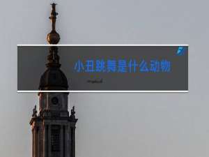 小丑跳舞是什么动物
