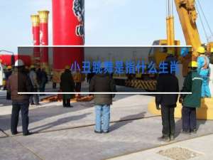 小丑跳舞是指什么生肖