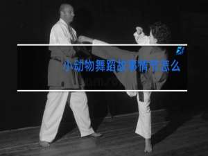 小动物舞蹈故事情节怎么写