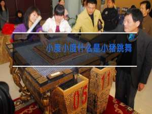 小度小度什么是小猪跳舞