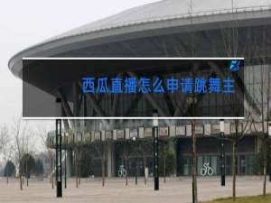 西瓜直播怎么申请跳舞主播