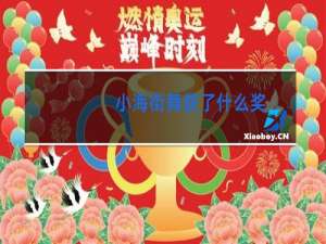 小海街舞获了什么奖