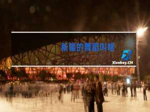 新疆的舞蹈叫啥