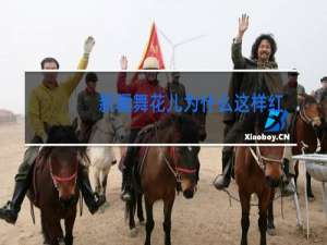 新疆舞花儿为什么这样红舞蹈串词