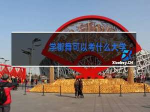 学街舞可以考什么大学