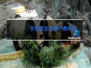 学街舞先学哪个舞种好