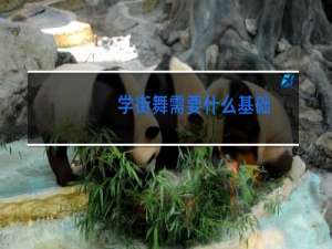 学街舞需要什么基础