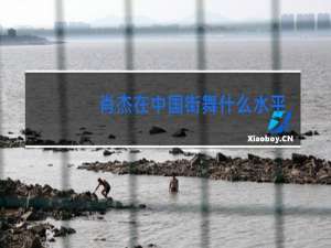 肖杰在中国街舞什么水平