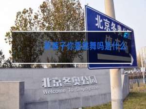 新裤子你要跳舞吗是什么风格