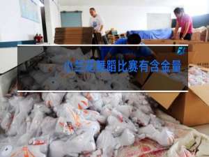 小兰花舞蹈比赛有含金量吗