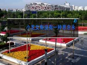 小龙女有没有一种思念永不疲惫广场舞