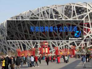 形容跳舞像什么的词语