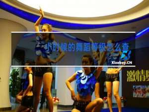 小时候的舞蹈等级怎么查询