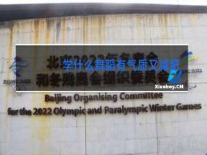 学什么舞蹈有气质又减肥