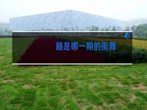 囍是哪一期的街舞