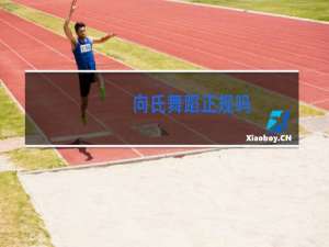 向氏舞蹈正规吗