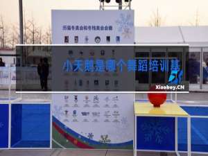 小天鹅是哪个舞蹈培训基地